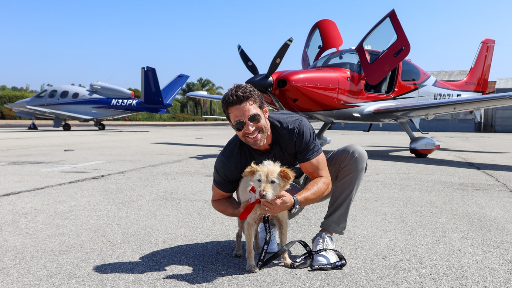 Top Five Tips for Flying with Dogs from Pilots ‘N Paws Volunteer Aaron O’Connell